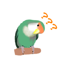 Love bird Rubio!! sticker #3308031