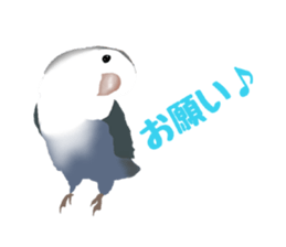 Love bird Rubio!! sticker #3308032