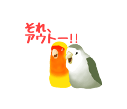 Love bird Rubio!! sticker #3308033