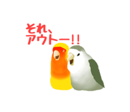 Love bird Rubio!! sticker #3308033