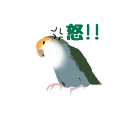 Love bird Rubio!! sticker #3308035