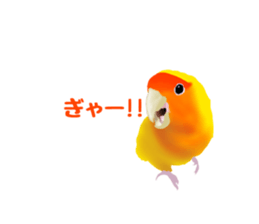 Love bird Rubio!! sticker #3308039