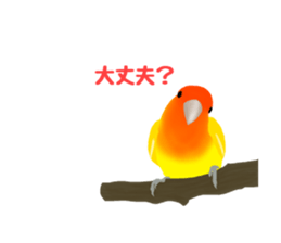 Love bird Rubio!! sticker #3308041