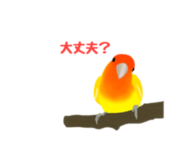 Love bird Rubio!! sticker #3308041