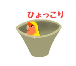 Love bird Rubio!! sticker #3308042