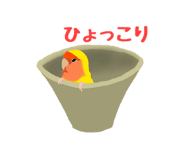 Love bird Rubio!! sticker #3308042