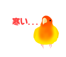 Love bird Rubio!! sticker #3308044