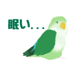 Love bird Rubio!! sticker #3308045