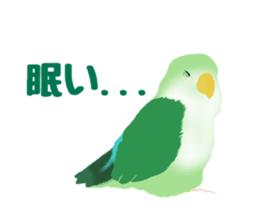 Love bird Rubio!! sticker #3308045