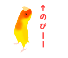 Love bird Rubio!! sticker #3308047