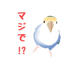 Love bird Rubio!! sticker #3308048