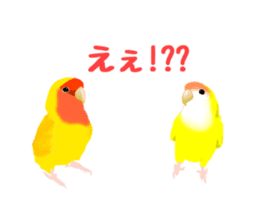 Love bird Rubio!! sticker #3308049