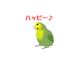 Love bird Rubio!! sticker #3308053