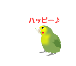 Love bird Rubio!! sticker #3308053