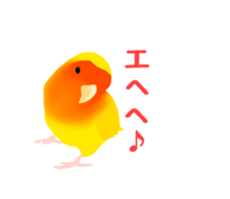 Love bird Rubio!! sticker #3308054