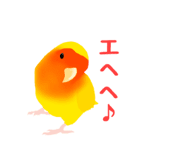 Love bird Rubio!! sticker #3308054