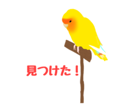 Love bird Rubio!! sticker #3308055