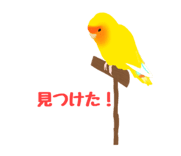 Love bird Rubio!! sticker #3308055