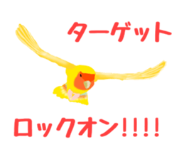 Love bird Rubio!! sticker #3308056