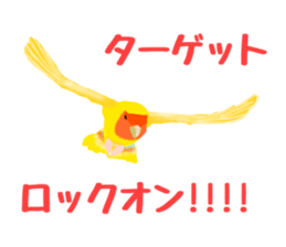 Love bird Rubio!! sticker #3308056