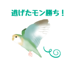 Love bird Rubio!! sticker #3308057