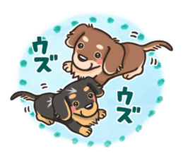 my sweet little dachshund babies sticker #3308101