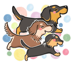 my sweet little dachshund babies sticker #3308106