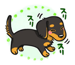 my sweet little dachshund babies sticker #3308111