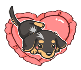 my sweet little dachshund babies sticker #3308118