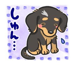 my sweet little dachshund babies sticker #3308130