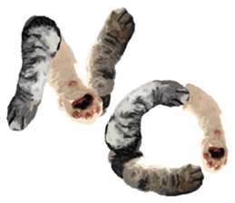 Hand of a cat sticker #3308820