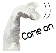 Hand of a cat sticker #3308821