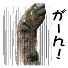 Hand of a cat sticker #3308823