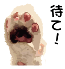 Hand of a cat sticker #3308825