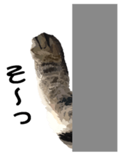 Hand of a cat sticker #3308832