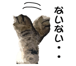 Hand of a cat sticker #3308833