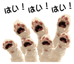 Hand of a cat sticker #3308835