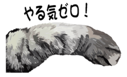 Hand of a cat sticker #3308839