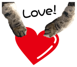 Hand of a cat sticker #3308841