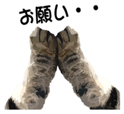 Hand of a cat sticker #3308845