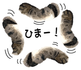 Hand of a cat sticker #3308847