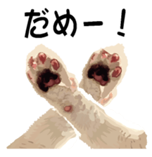 Hand of a cat sticker #3308848