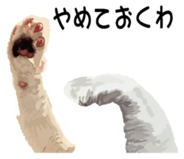 Hand of a cat sticker #3308855
