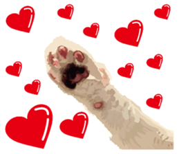 Hand of a cat sticker #3308857