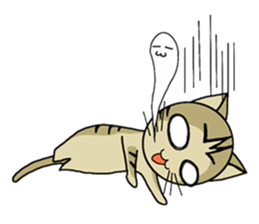 Cat M Eng.Ver sticker #3312672