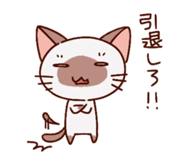 Siamese cat to the net game sticker #3313278