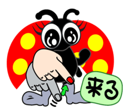 sign language of a new ladybug ver.1 sticker #3313988