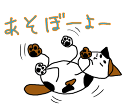 Hutch the CalicoCat sticker #3314542