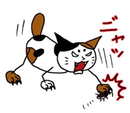 Hutch the CalicoCat sticker #3314546