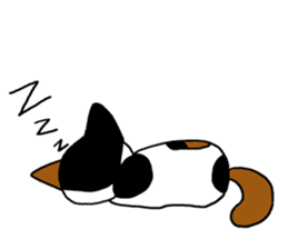 Hutch the CalicoCat sticker #3314557